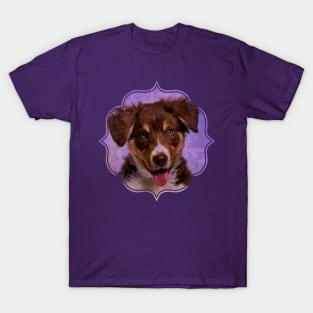 Border Collie Puppy T-Shirt